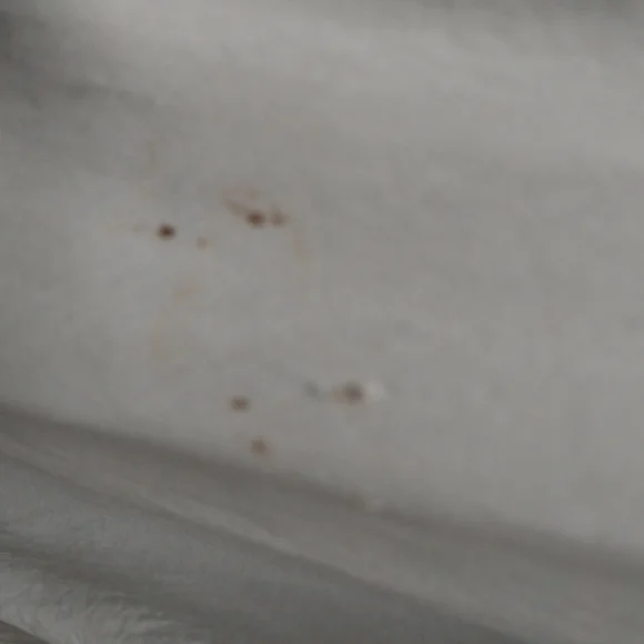 Flobert Vintage Long Sheer Pale Lime Green 50s/60s (?) Sleep Robe - Picture 10 of 12